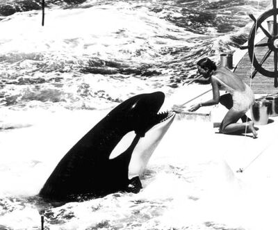 Lolita state of florida archives 05307