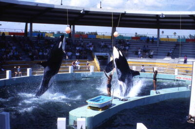 Lolita and hugo state of florida archives 0585