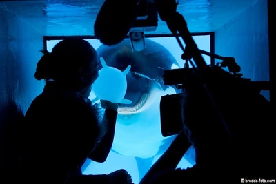 296521 10150267101708333 1734745 n