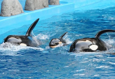 Ran, Lynn and Stella