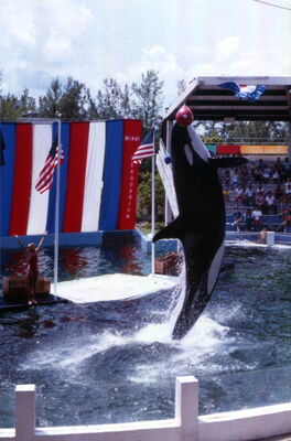 Lolita state of florida archives 085045