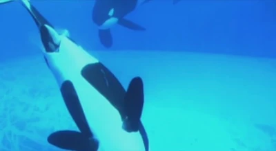 Stella giving birth to Lynn.