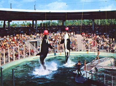 Lolita and hugo state of florida archives 0584