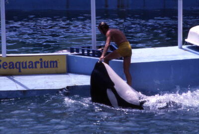 Lolita state of florida archives 085047