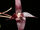 Bulbophyllum macphersonii