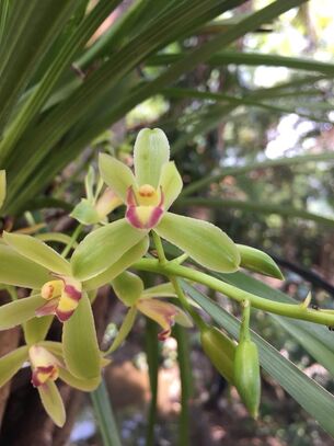 34778981 1414008625412542 5060447205358305280 n