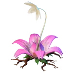 ICON Trap ConfusionFlower