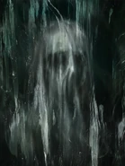 Quadro de Noralma vestindo um véu