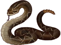 Arte Cascavel em Hexatombe