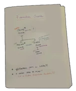 Nona página Diário da Bárbara.png (338 kB) Diário de Bárbara (Parte 9)