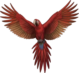 Arte Arara em Hexatombe