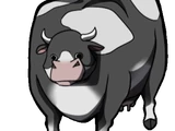 Jennifer (vaca)