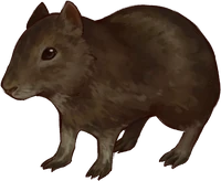 Arte Preá em Hexatombe