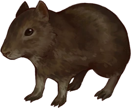 Arte Preá em Hexatombe