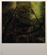 Primeira foto do Símbolo de Santo Berço, enviada pela Equipe