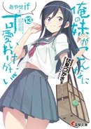 Light Novel Volume 13 (1.78 MB) Volume 13
