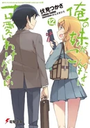 Light Novel Volume 12 (957 KB) Volume 12