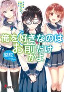 Light Novel Volume 1