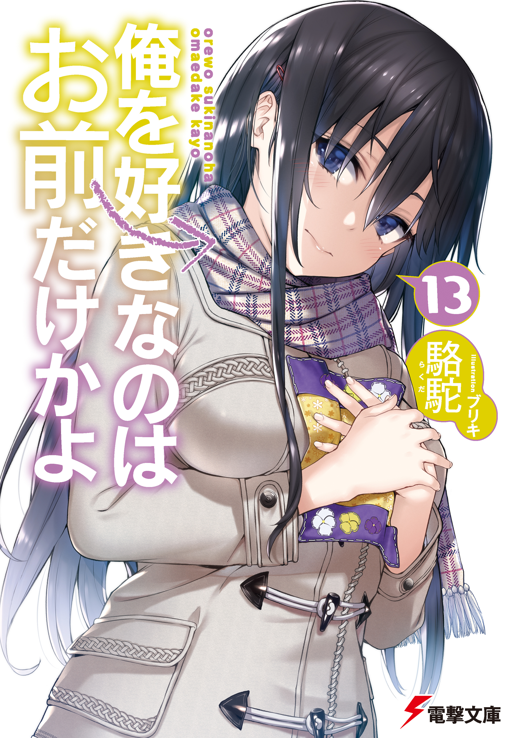 Light Novel Volume 13 | Ore wo Suki Omae Dake ka yo Wiki | Fandom
