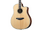 Breedlove Stage Dreadnought Acoustic-Electric Guitar Natural