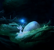 Ori finds Kuro's Egg