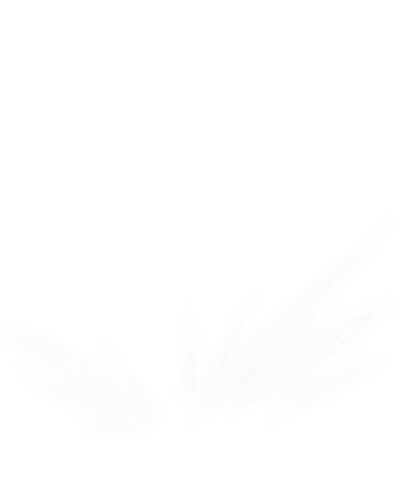 ori and the blind forest wiki fandom