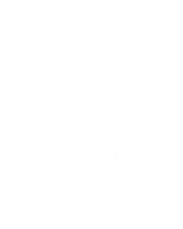 Life Efficiency Ori And The Blind Forest Wiki Fandom