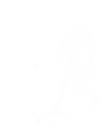 Bash Blind Forest Ori And The Blind Forest Wiki Fandom