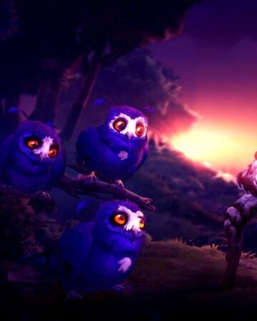 Owls Ori And The Blind Forest Wiki Fandom