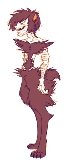 A wolfon; specifically a male black wolf (2015).