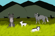 Oliver, Bimbo, Pallas, Mumble, and the Long Tails