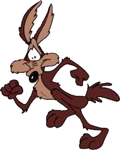 Wile E. Coyote and Road Runner Looney Tunes Wiki Fandom