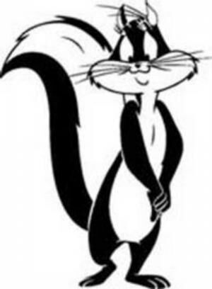 Penelope Pussycat Looney Tunes Wiki Fandom