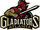 2017-18 Atlanta Gladiators Fighting Major Leaders