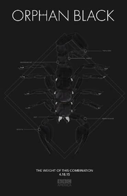 The Weight of This Combination