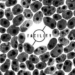 Facility Artwork.jpg