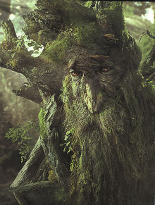 Treebeard-
