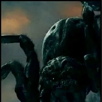 Shelob Orta Dunya Ansiklopedisi Wiki Fandom