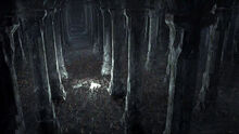 Moria-0