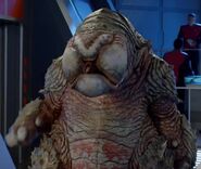 Unk.jpg (172 KB) Unk's species