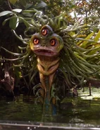 Jorvik.jpg (399 KB) Jorvik's species