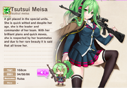 Meisa Tsutsui Album Entry