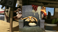 Harchi, Buck and Popy scared of Rcco getting angry at them