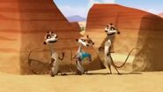 3 meerkats.