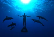 Cove 006.jpg (206 KB)