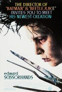 EdwardScissorhands 003.jpg (529 KB)