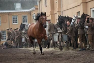 WarHorse 011.jpg (182 KB)