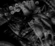 Lighthouse-0087.jpg (49 KB)