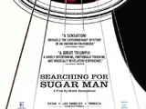 Searching for Sugar Man