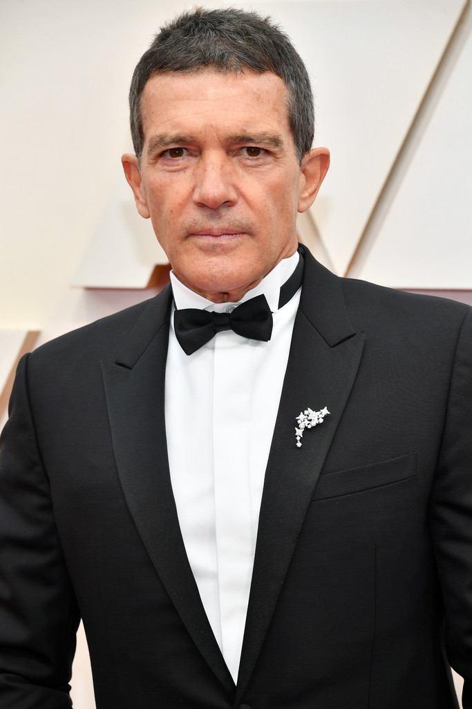 Antonio Banderas Oscars Wiki Fandom